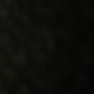 Meet your Posher, Maxwell